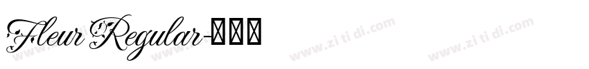 Fleur Regular字体转换